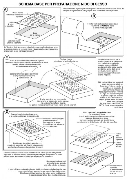 Schema nidi di gesso.jpg