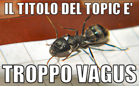 Immagine