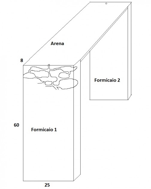 Schema formicaio