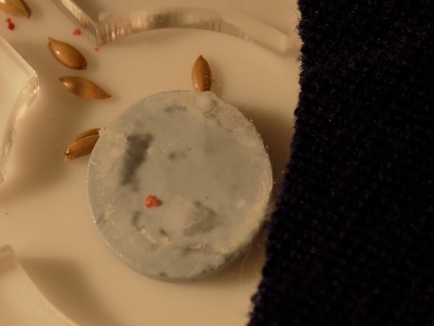 ho un formicaio in acrilico con serbatoio, quest'ultimo è collegato al formicaio attraverso un cotone assorbente per fornire umidità al formicaio.<br />Ho dei dubbi sul fatto che il cotone assorba o meno l'acqua<br />cosa ne pensate?