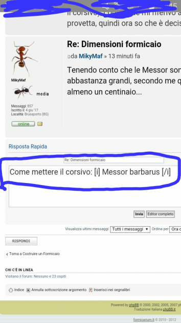 Corsivo