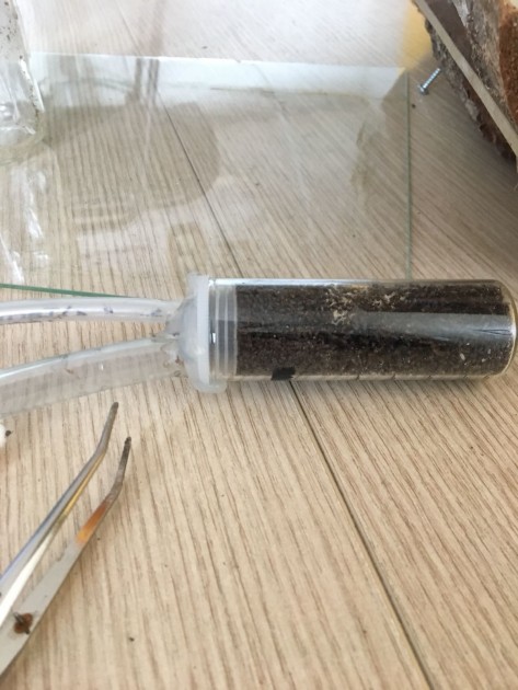 Altra mini aspirapolvere (realizzata nello stesso modo) piena di operaie