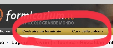 Queste sono le sezioni più importanti per i principianti. Leggile e colmerai quasi tutti i tuoi dubbi