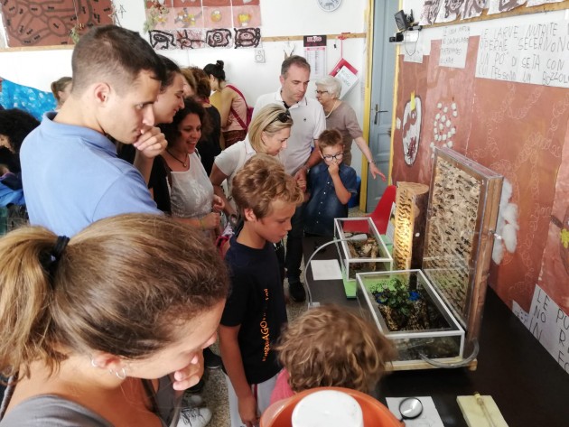All'entrata il pubblico è subito circondato: da una parte la colonia di Polyergus, dall'altra C. vagus e ligniperda!!! Occhio alle dita!