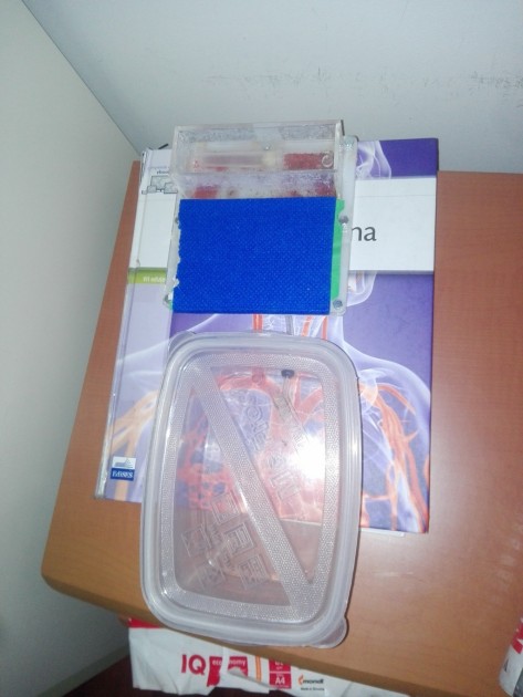 Il nuovo complesso nido + arena<br />P.S. se qualcuno ne avesse bisogno per l' università, l' atlante di anatomia sottostante è in vendita