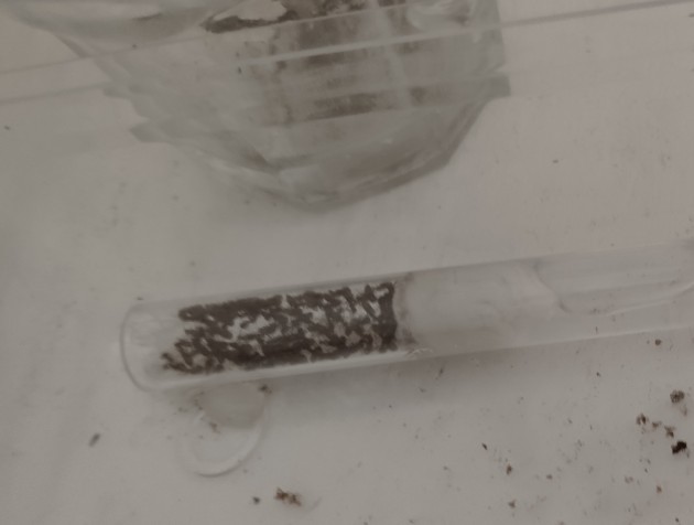 Vecchia colonia L.emarginatus