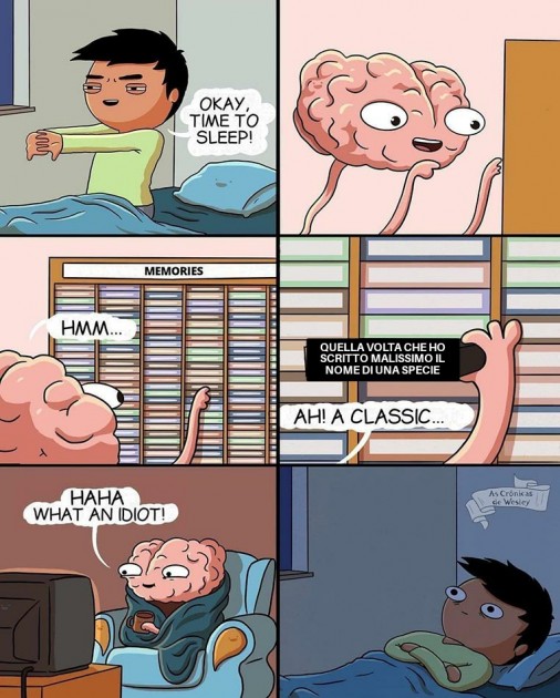 Soffro dentro ogni volta...