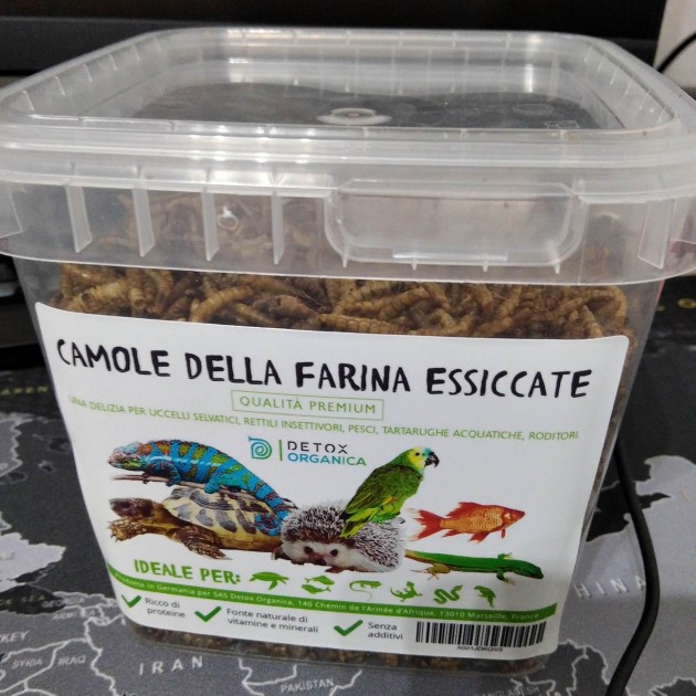Camole essiccate