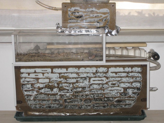 Prima versione a blocco intero (25 x 60) finalmente con le gallerie razionali e i divisori più sottili.