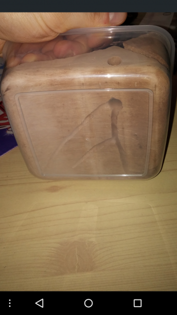 Questo è il fondo, non essendo Messor una specie che necessita di molta umidità mi sono limitato a creare un buco in un lato del gesso, che porta alla base del contenitore e che si dirama raggiungendo l ultima stanza che è quella più bassa che sta nel lato del contenitore! Ho pensato che cosi regolarmente senza esagerare avrei potuto almeno umidificare quella parte in maniera non esagerata in modo da permettere alla colonia di stivare li i semi da ammorbidire