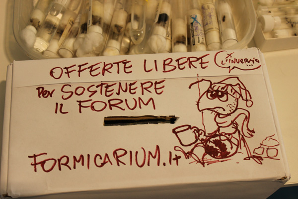 Disegno improvvisato da GianniBert sulla cassettina delle offerte