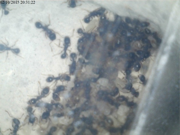 In un'altra camera