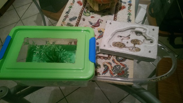setup del nido fissato all'arena