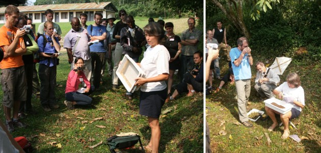 Leeanne mentre dimostra una tecnica di raccolta delle formiche terricole (nella lettiera e nello strato più superficiale del terreno) che si basa sull’ultilizzo di setaccio e vassoio (Foto: D. King &amp; I. Toni).