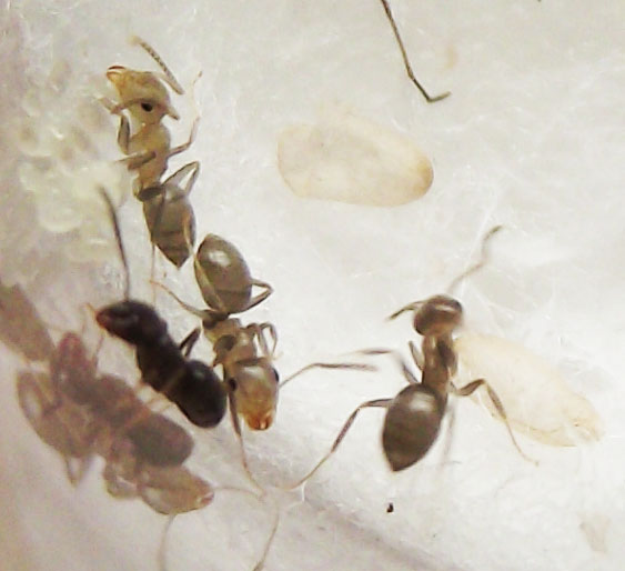 DSCF3705.JPG