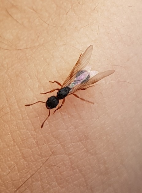 20170815_154711.jpg