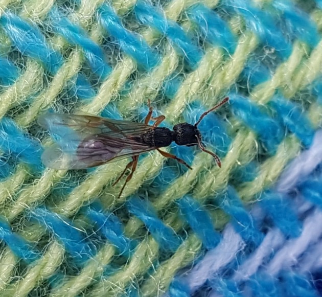 20170815_154813.jpg