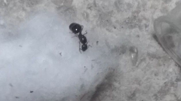 20170817_203019.jpg