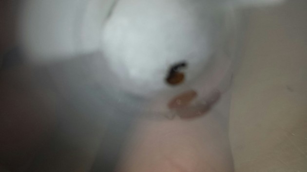 IMG-20170828-WA0012.jpg