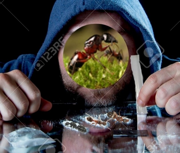 aaaltreeeeee.jpg