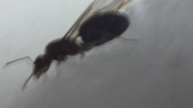 20170829_103858.jpg
