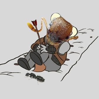 i used to hunt Camponotus vagus like you... but then i got an arrow in the kneeeee!.jpg