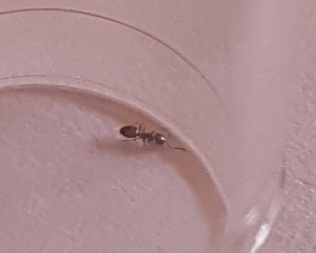 20170831_100746.jpg