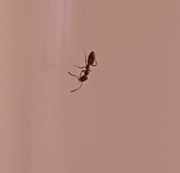 20170831_100838.jpg
