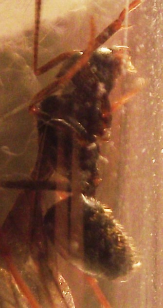 DSCF3712.JPG