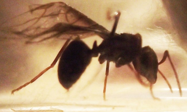 DSCF3713.JPG