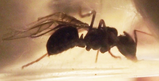 DSCF3714.JPG