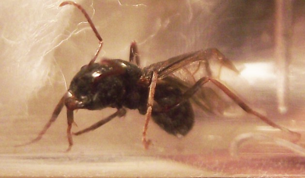 DSCF3717.JPG