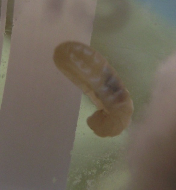 DSCF5149.JPG