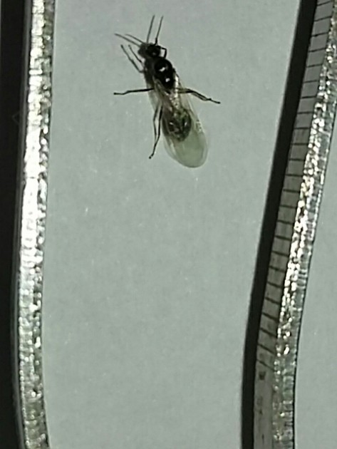 20170927_143830.jpg