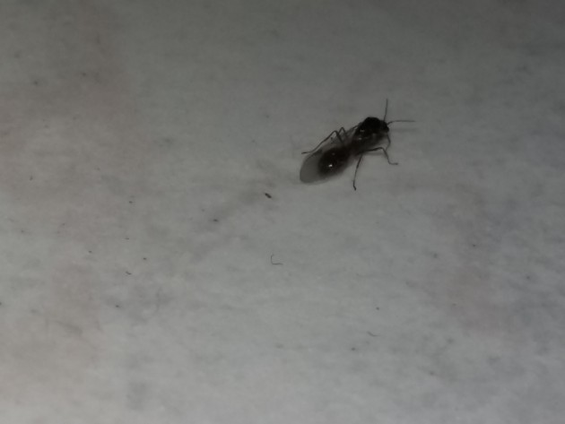 20170927_144131.jpg