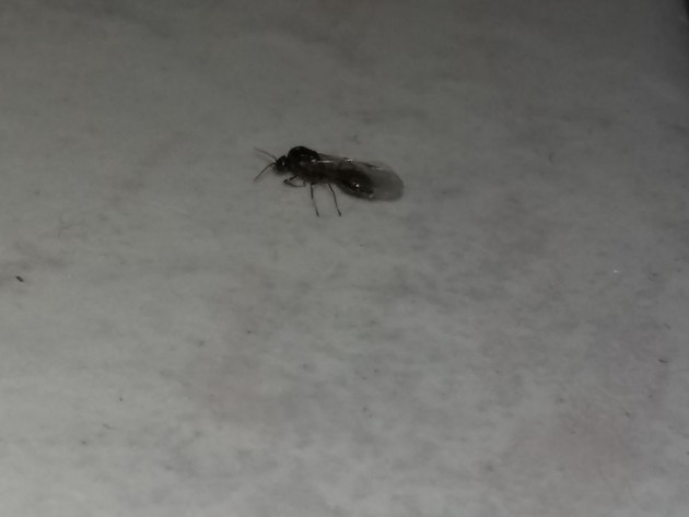 20170927_144122.jpg