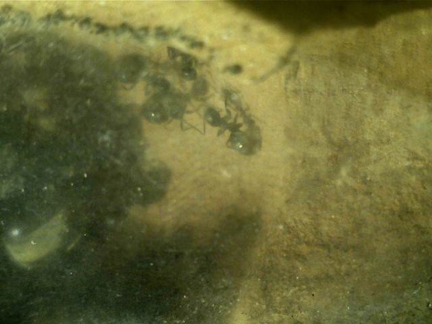 Untitled 30.jpg