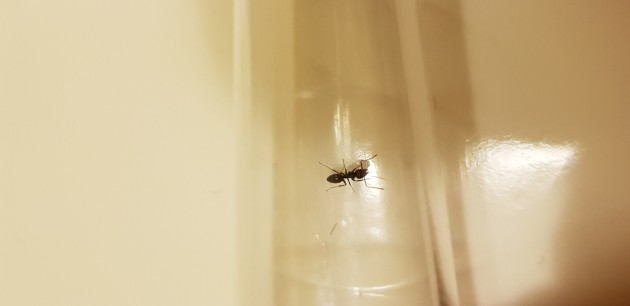 20180407_011509.jpg