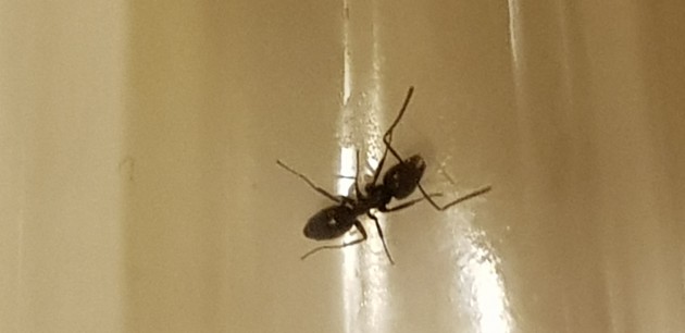 20180407_011522.jpg