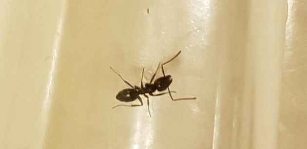 20180407_011540.jpg
