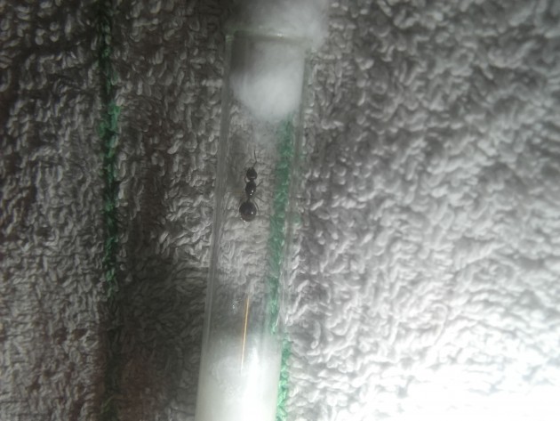 IMG-20180422-WA0038.jpeg