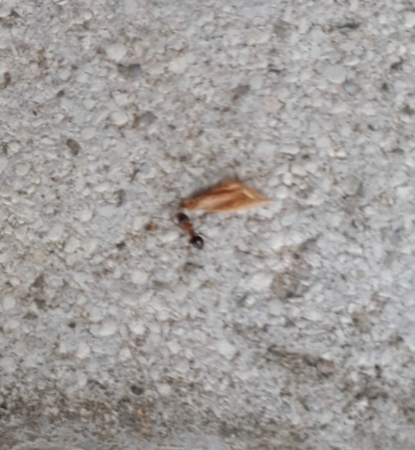 20180429_111206.jpg