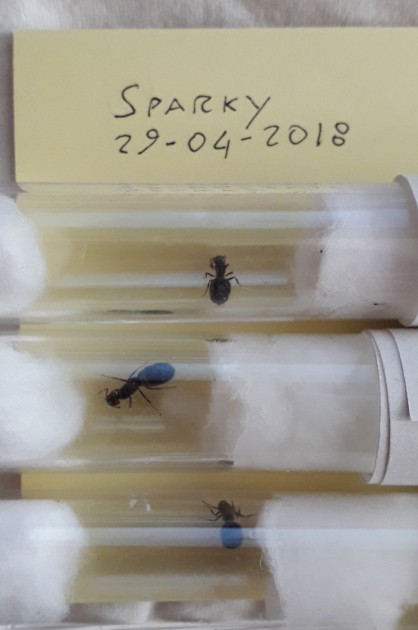 20180429_120204.jpg