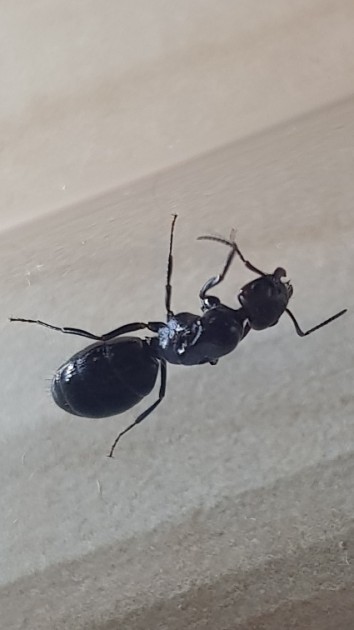 20180430_164345.jpg
