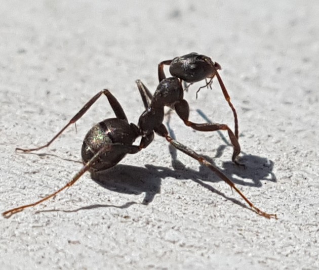 20180506_211934.jpg