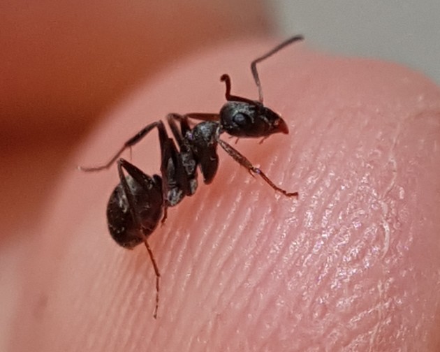 20180506_211958.jpg