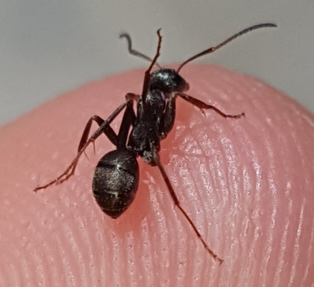 20180506_212021.jpg