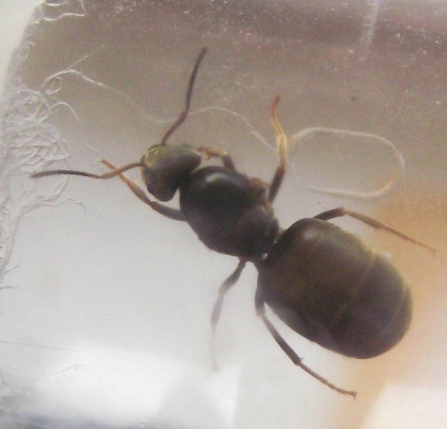 DSCF3757.JPG