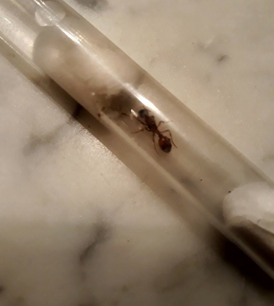 20180526_183458.jpg
