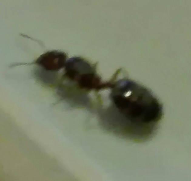 _20180528_202257.JPG